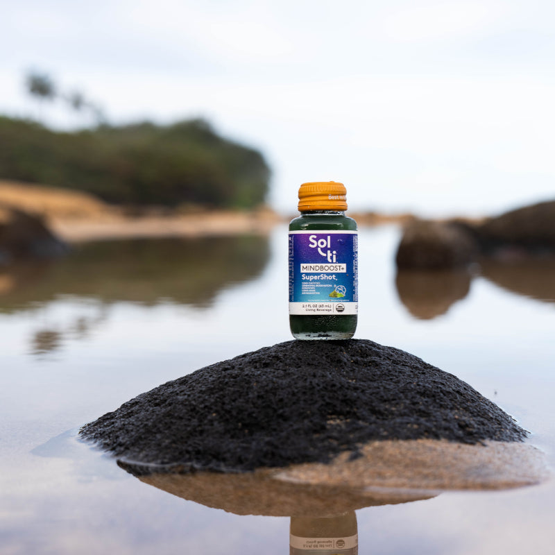 What Is KSM 66® Ashwagandha? Benefits, How It’s Different