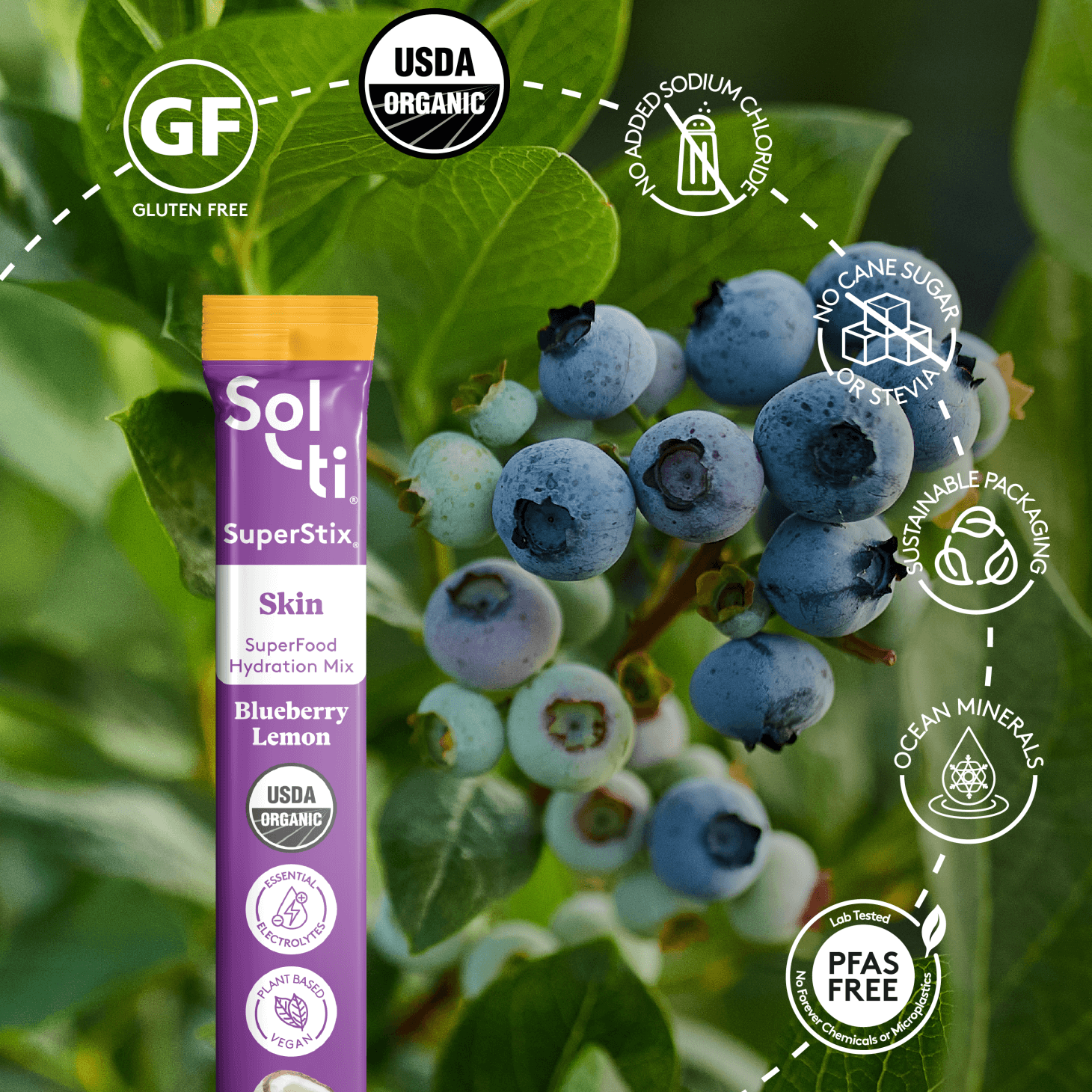 Blueberry Lemon SuperStix®