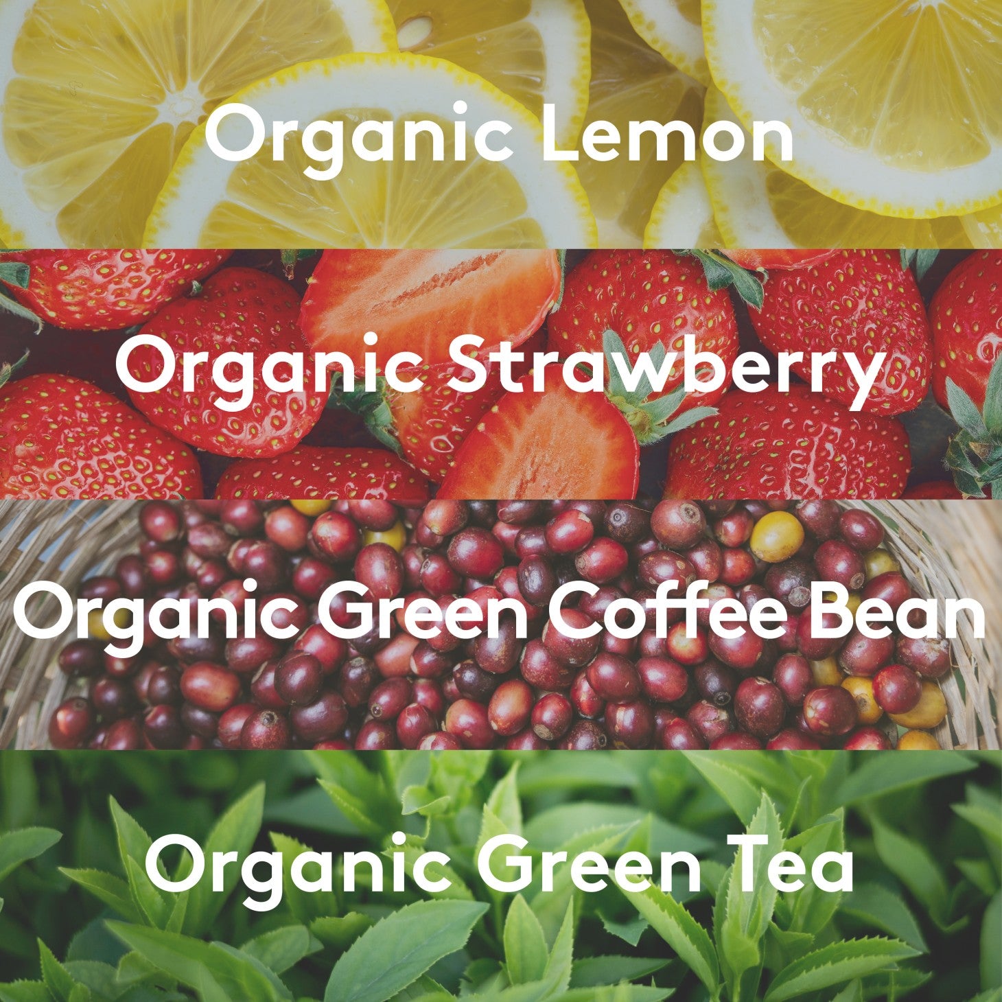 Organic lemon slices, organic strawberries, organic green coffee beans, and organic green tea leaves on multicolor background