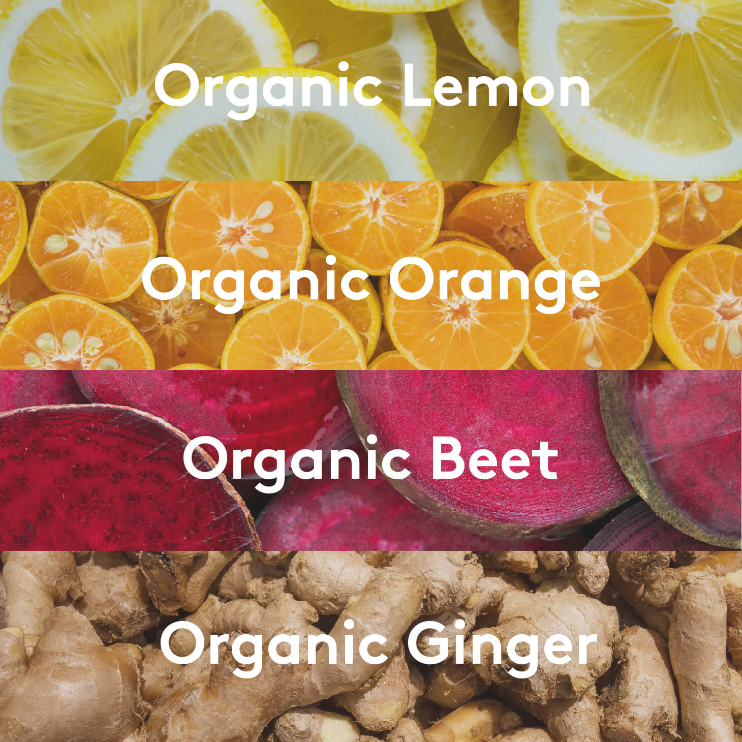 An ingredient graphic listing organic lemon, organic orange, organic beet, and organic ginger, with an image representing each ingredient