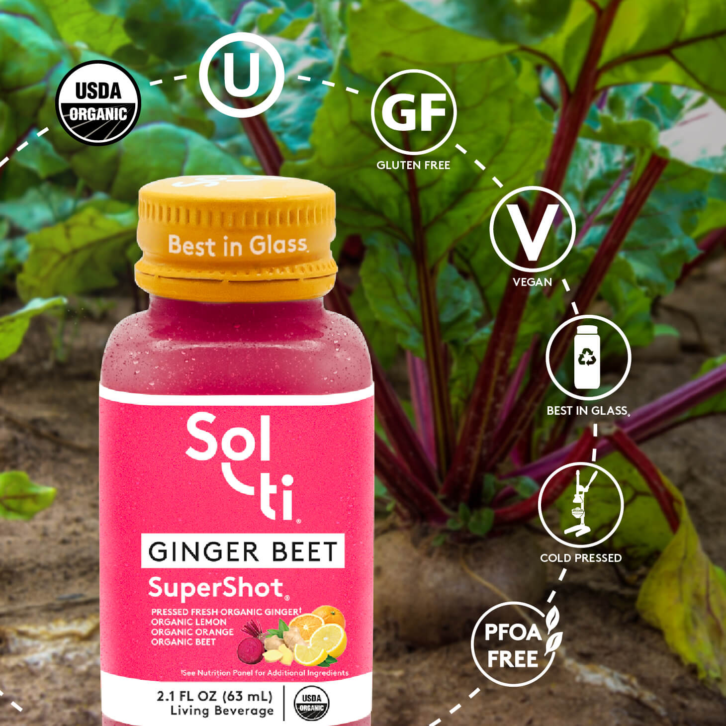 GINGER BEET SuperShot® Bundle