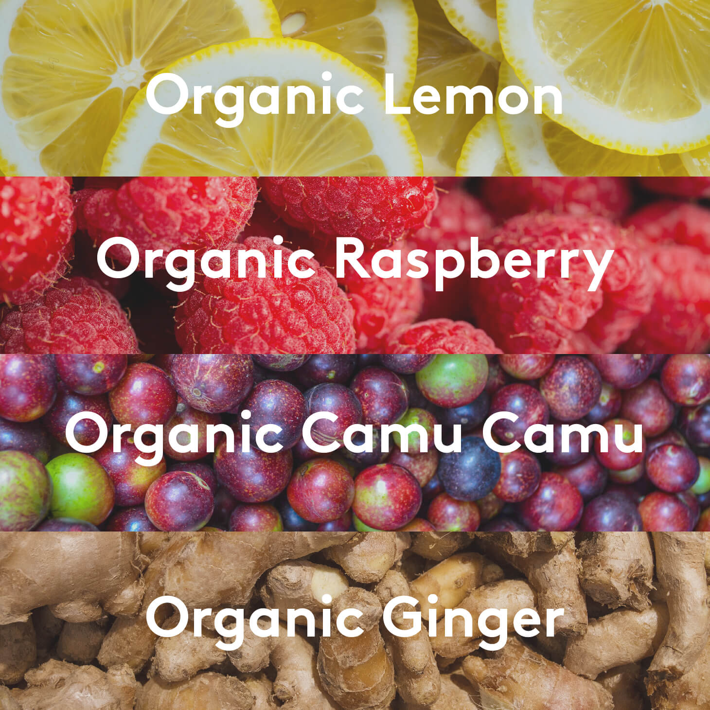 An ingredient graphic listing organic lemon, organic raspberry, organic camu camu, and organic ginger, with an image representing each ingredient