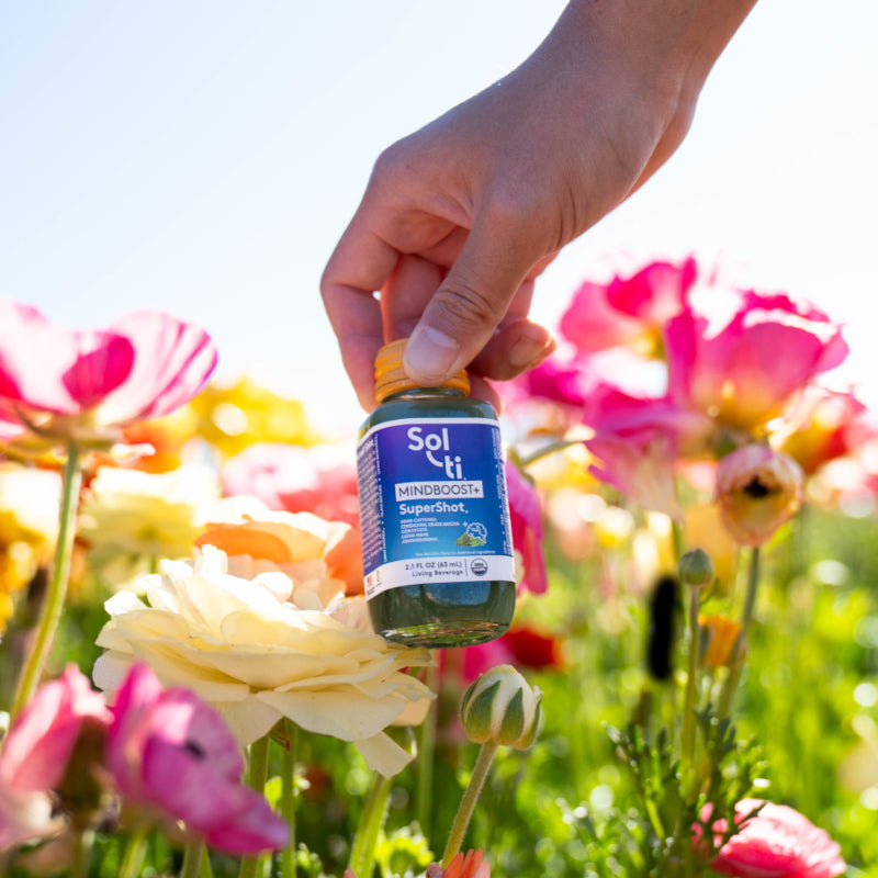 Nootropic Drinks vs Supplements: 5 Key Differences You Should Know
