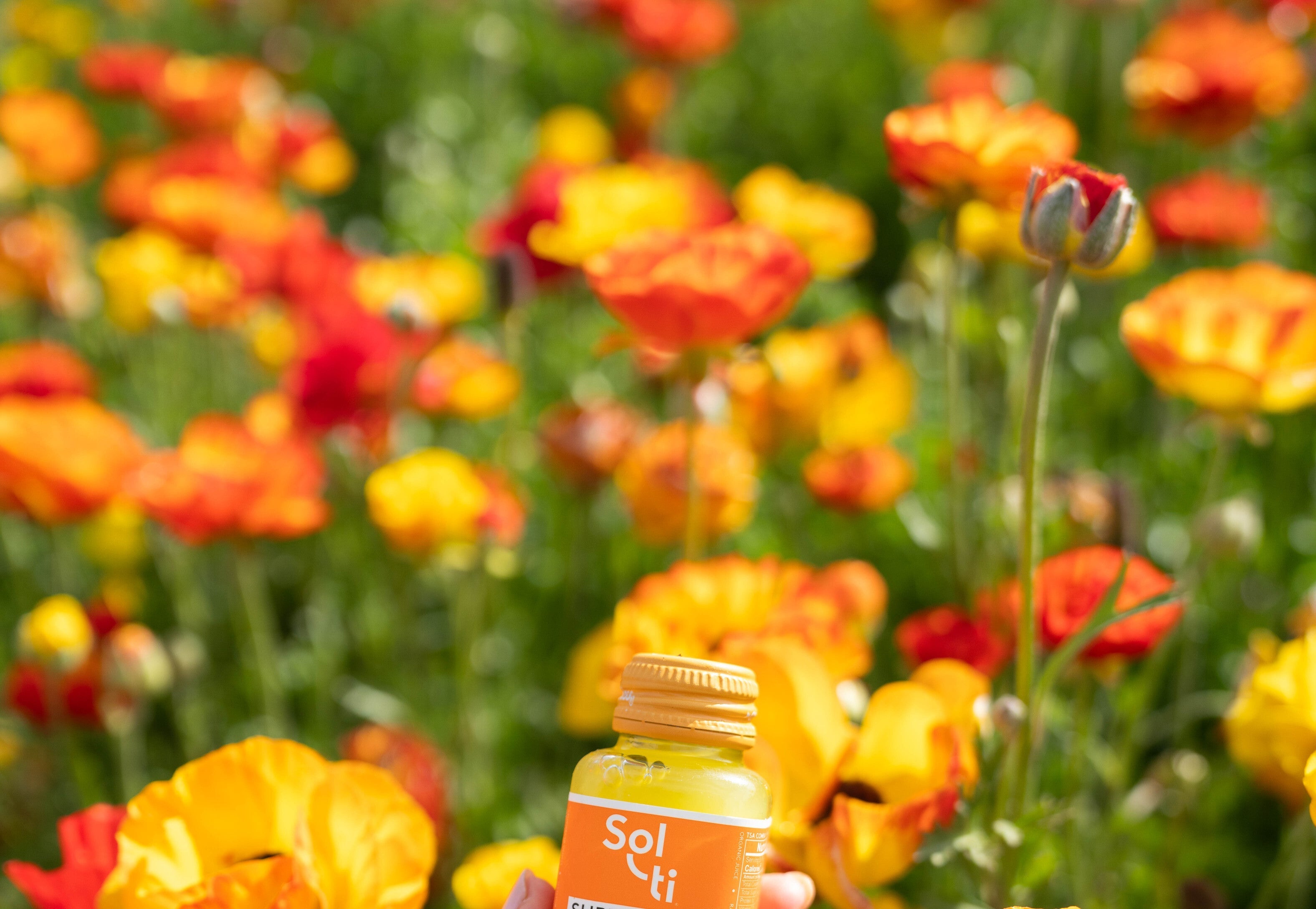 Let Yourself Shine: How Sun-Powered, Organic Beverages Fuel Vibrant Living
