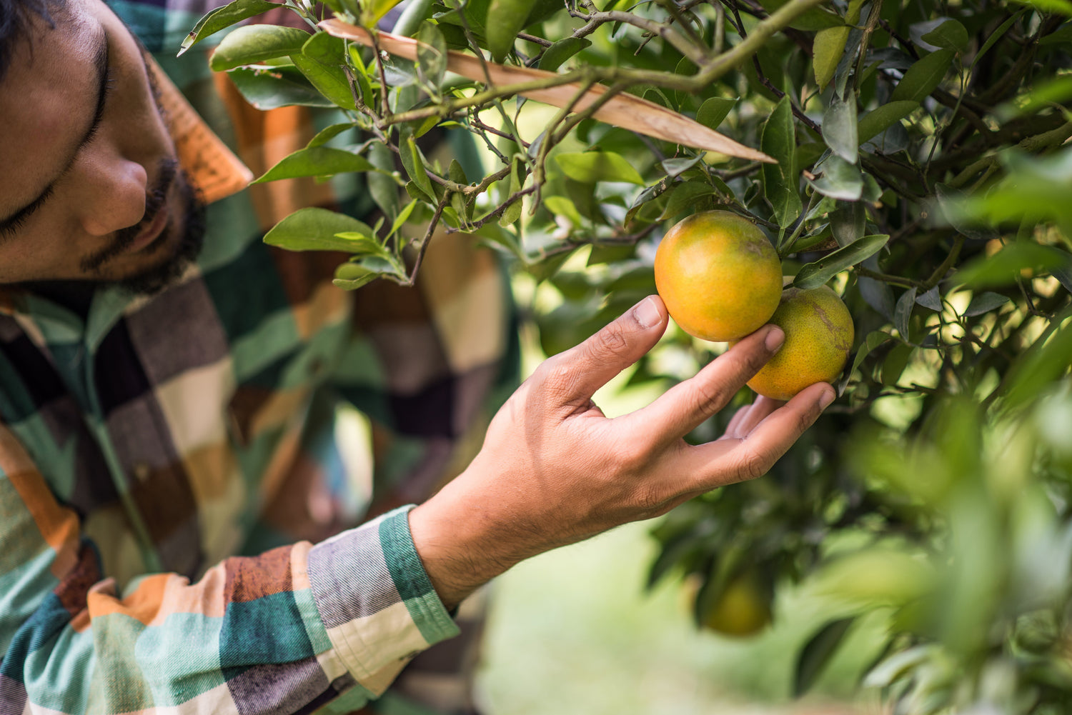 Sol-ti’s Process: Purity, Sustainability & SuperH2O™