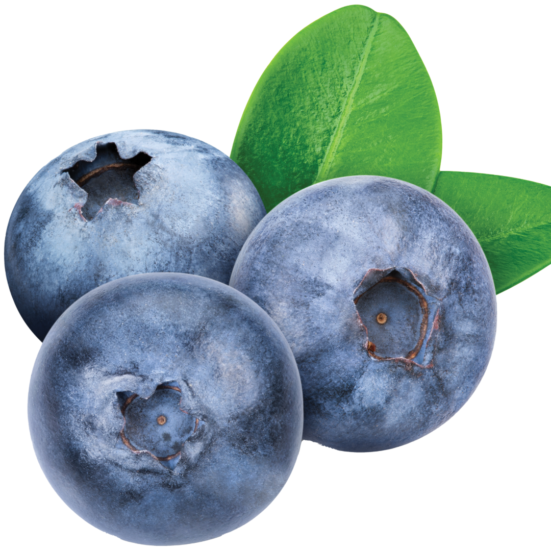 Blueberry