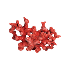 Red marine algae (Lithothamnion spp.) on a light bacground