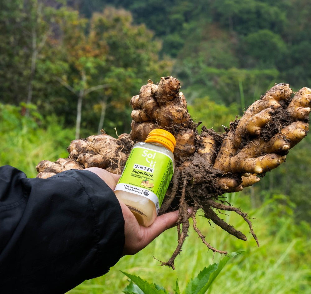 Hand holding a bottle of Ginger SuperShot with a large ginger root against a natural background