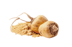 Two maca turnips with powder on a light background