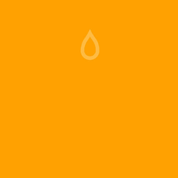 White Sol-ti Buddha Logo on a Orange background