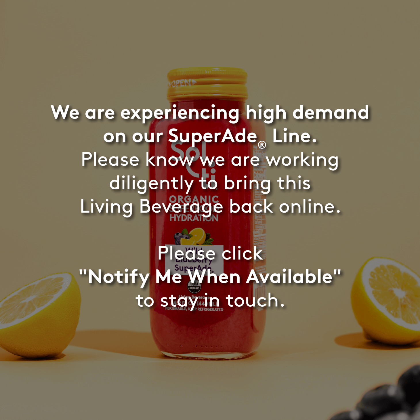 Wild Blueberry SuperAde®