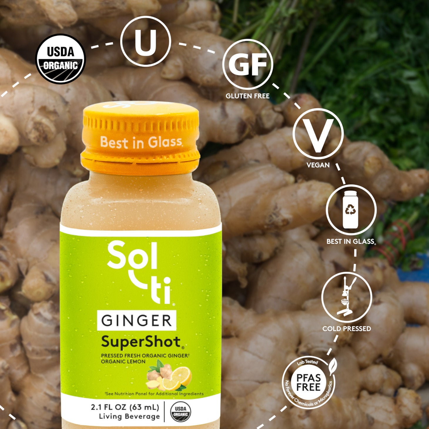 GINGER SuperShot bottle with front label on ginger roots background, showing turmeric root, with logo benefits: USDA Organic, kosher, Gluten Free, Vegan, Best in Glass, Cold pressed and Lab tested No forever Chemicals or microplastics