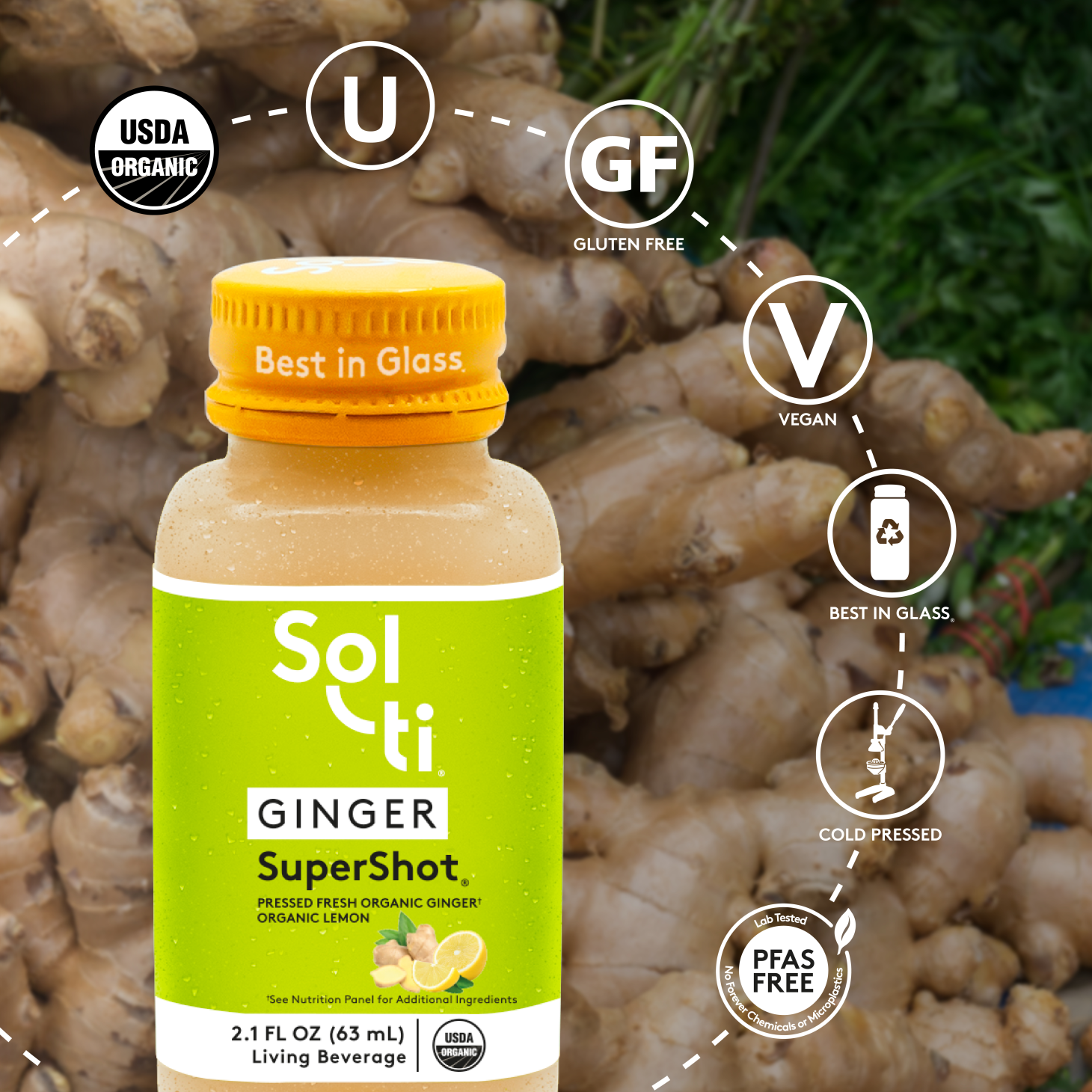 GINGER SuperShot® 12 PACK Bundle