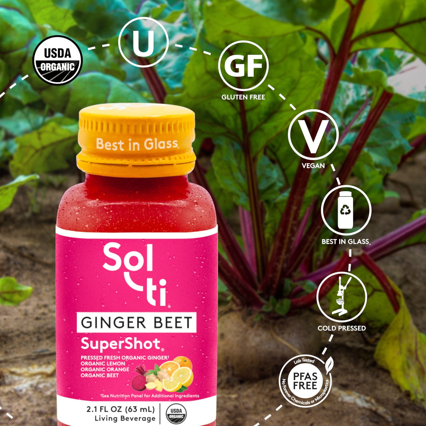い*う様 非売品　411VM Limited 7inch Sol The Box GINGER BEET SuperShot™